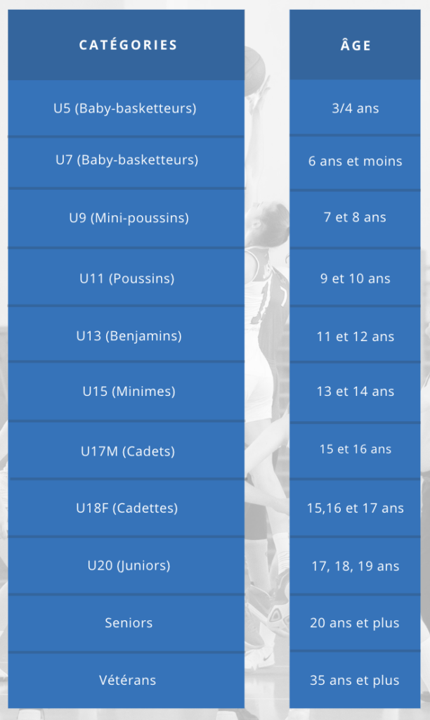 categories domont basket